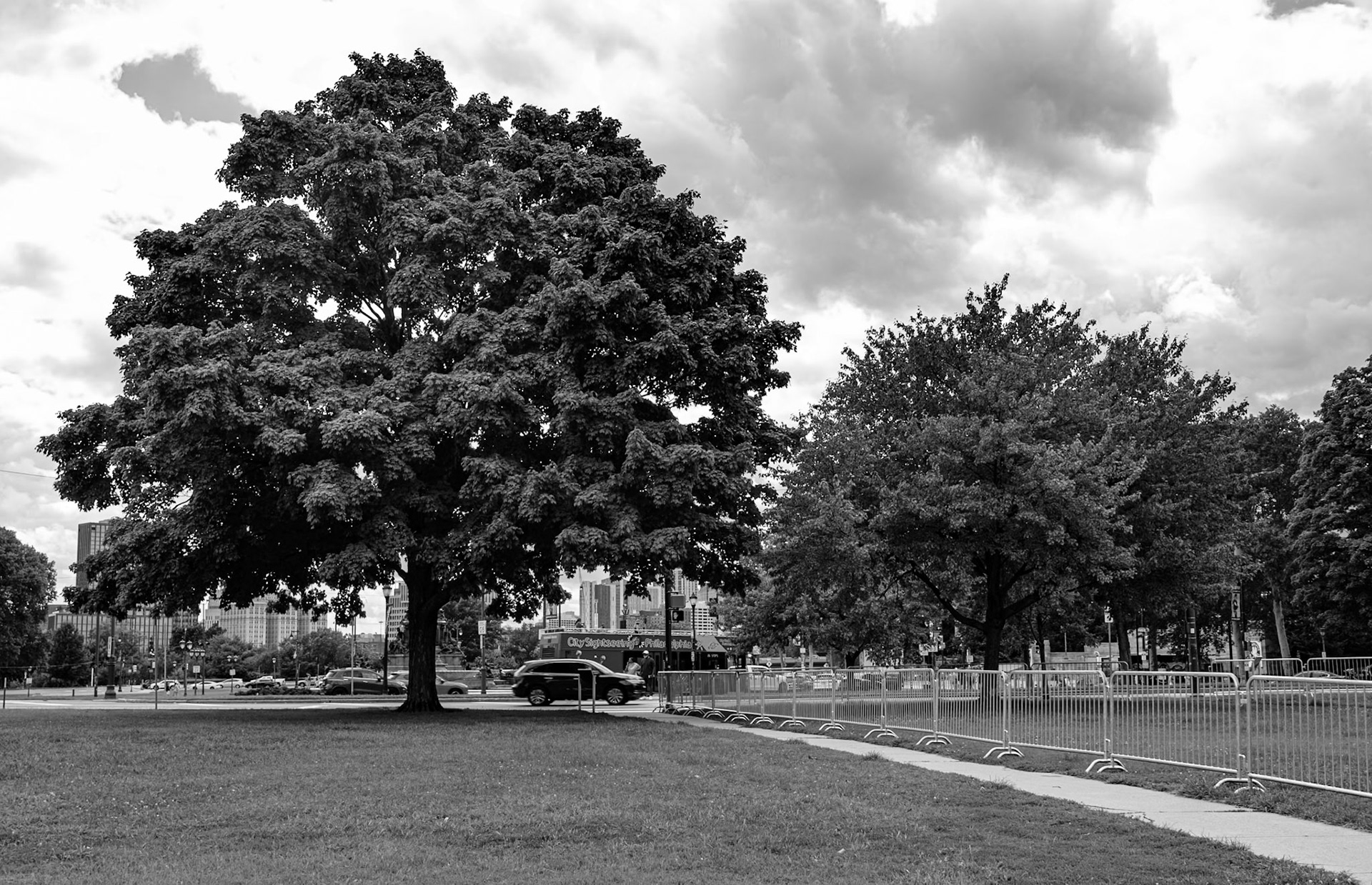 Black and White View of Large Tree Near Art Museum August 2026