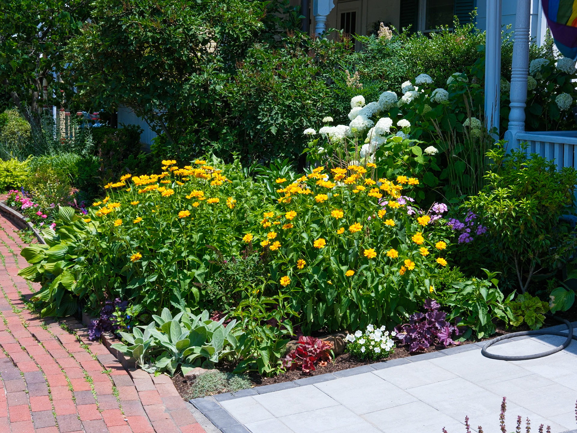 Floral Garden at a Doylestown Home