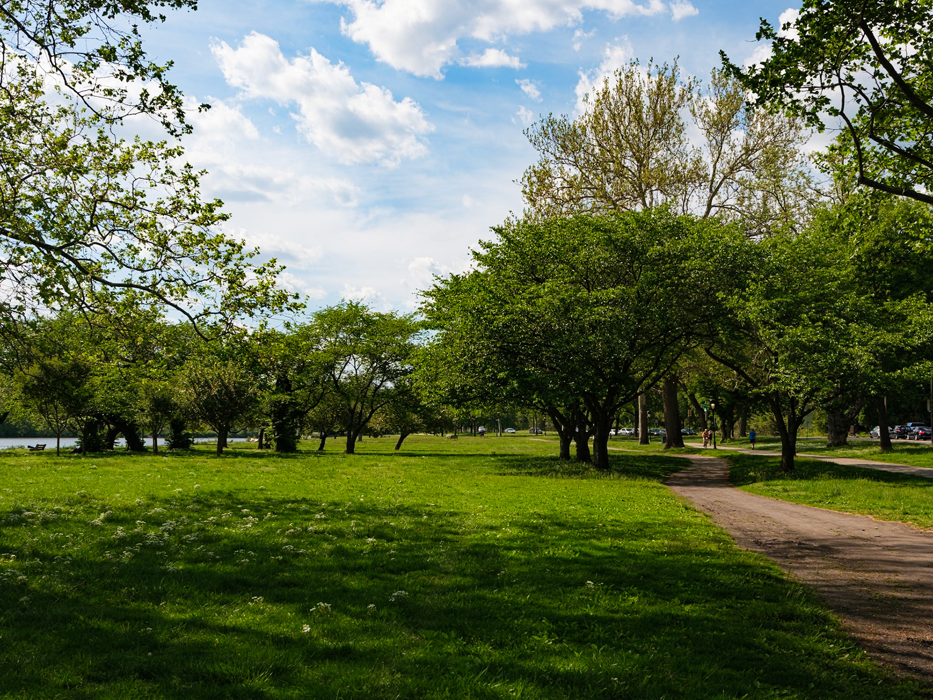 Dirt Trail Trees and River