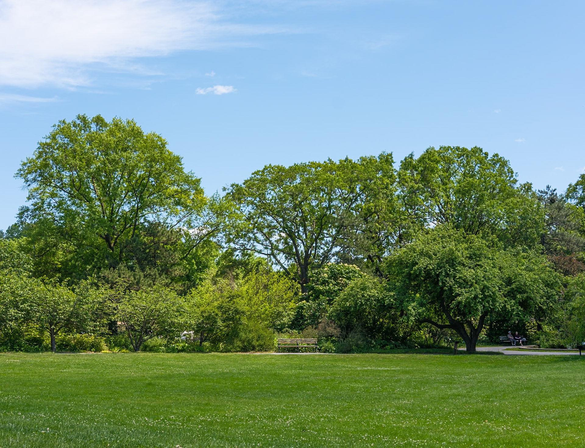 Trees and Bench at South Arc at Queens Botanlica Garden