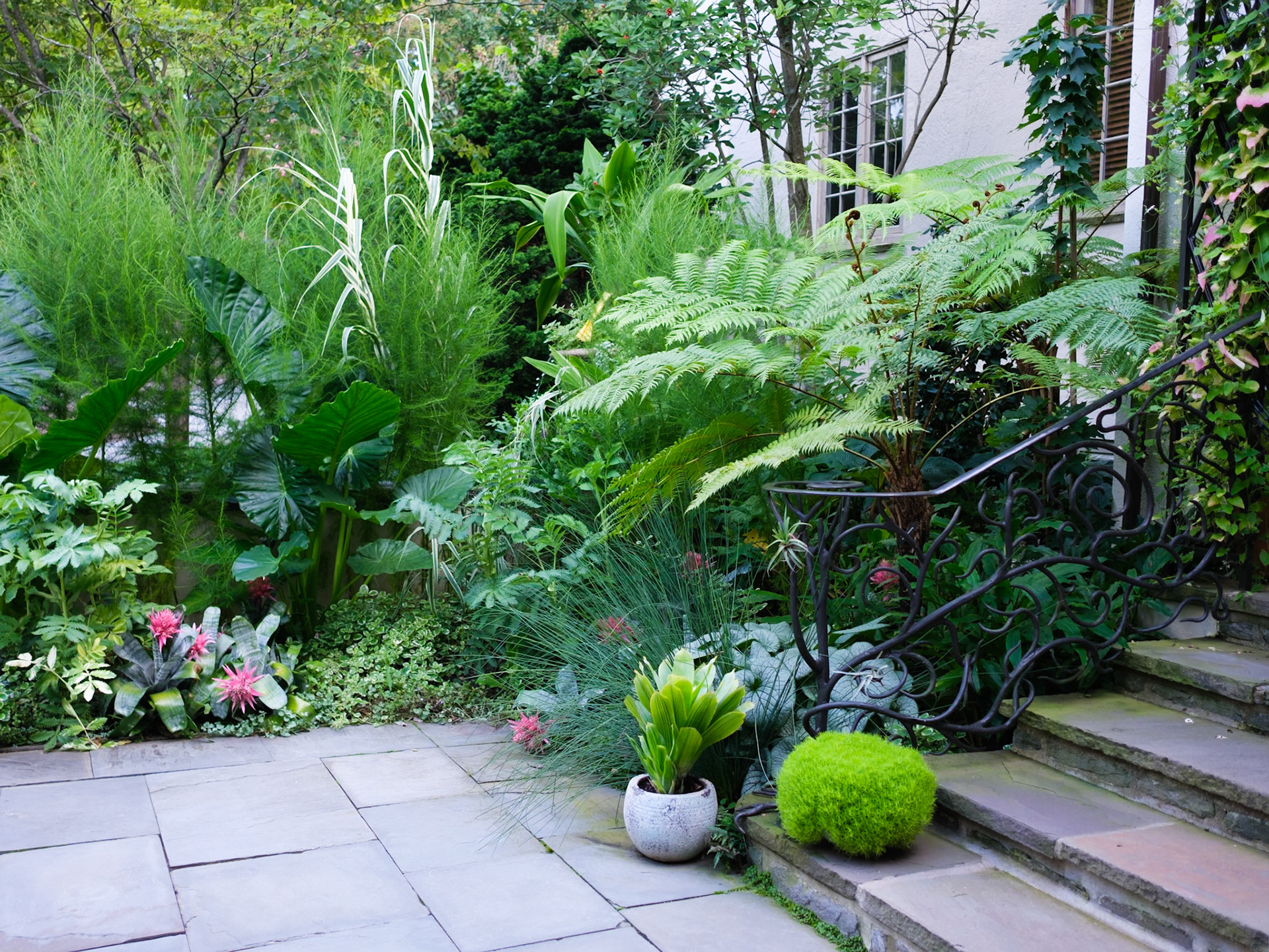 Ferns and Potted Plant at Steps to Service House at Chanticleer