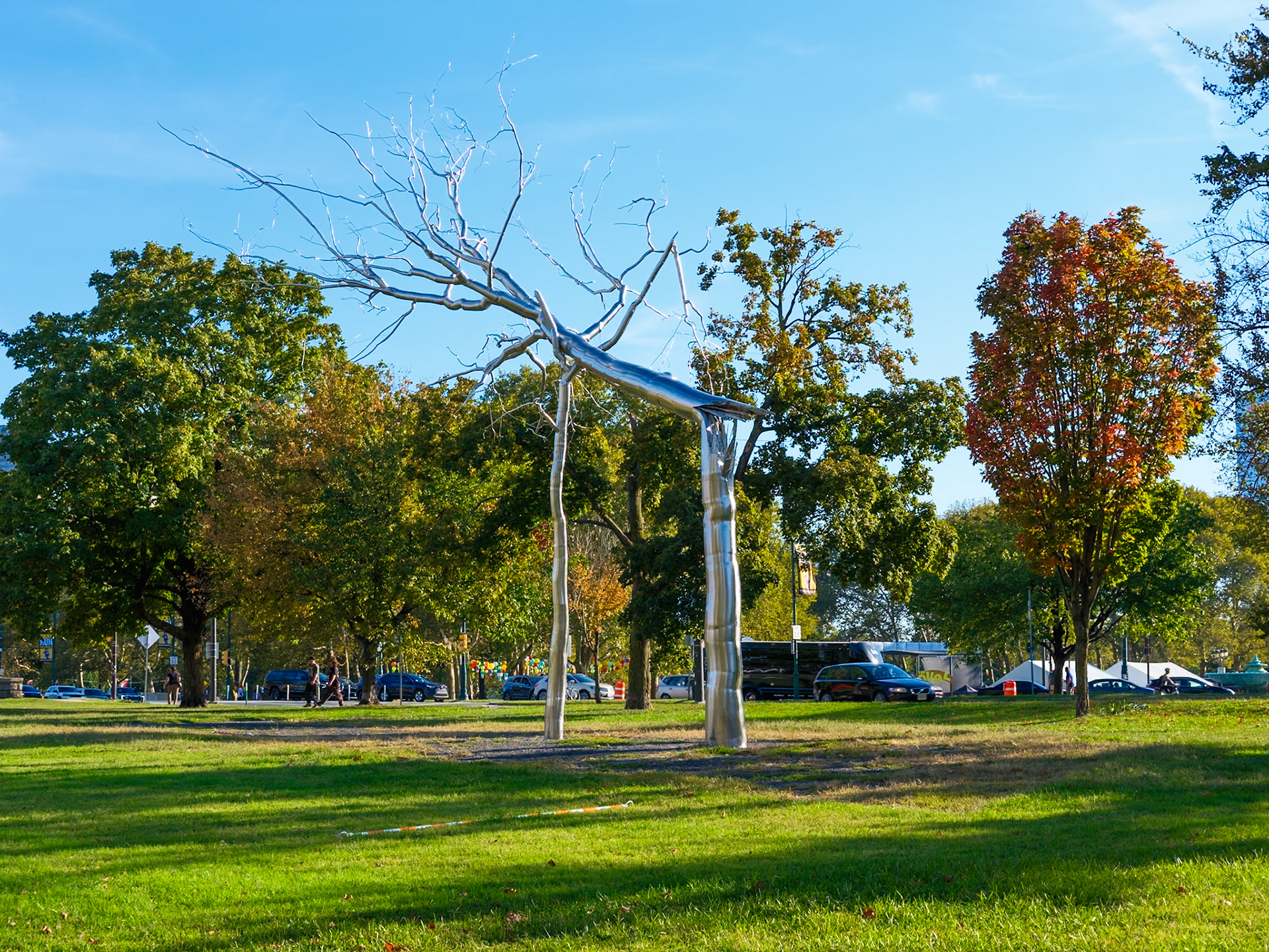 Silver Tree at Fairmount
