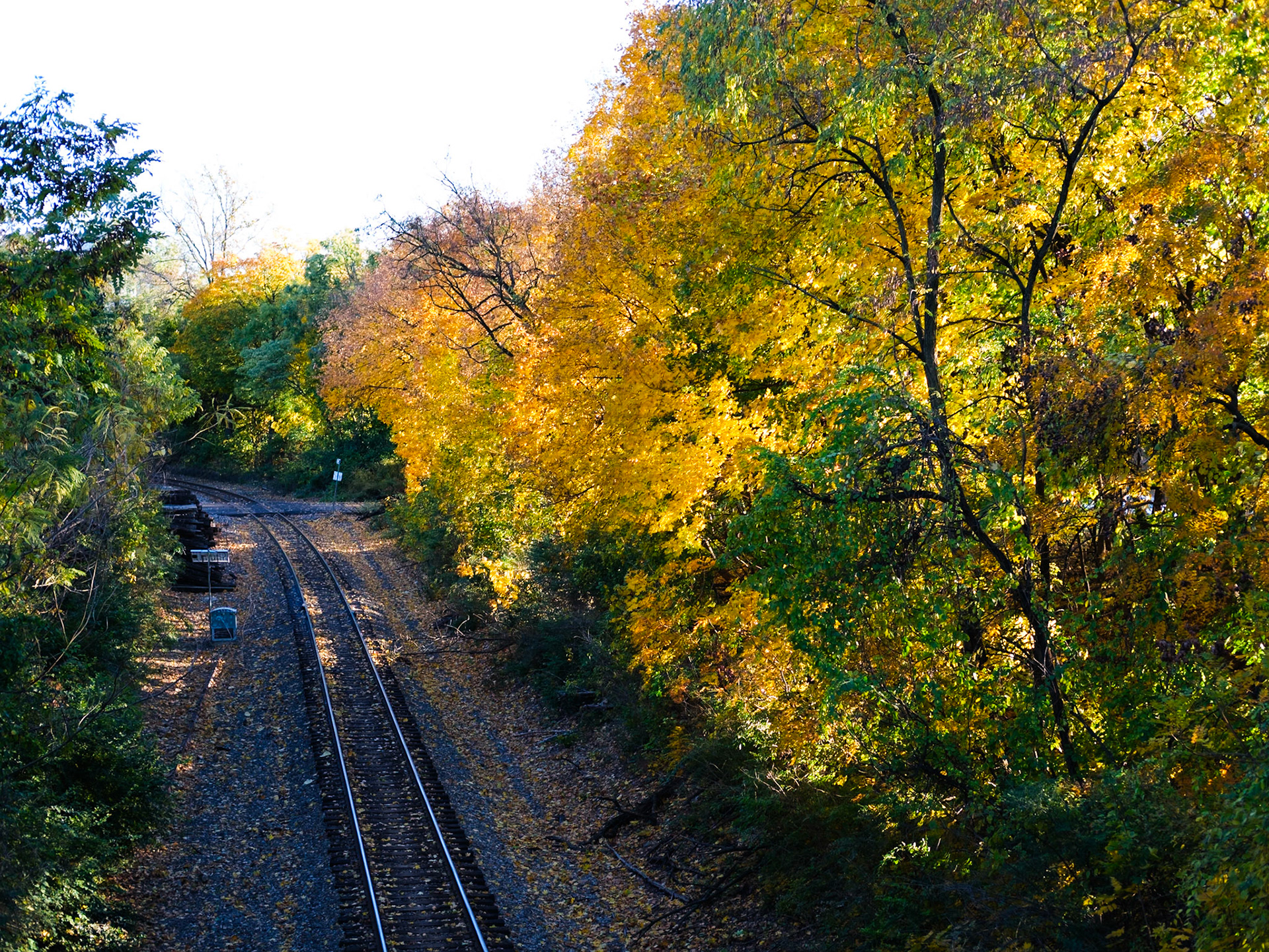 Fall Colors on a Freight Line