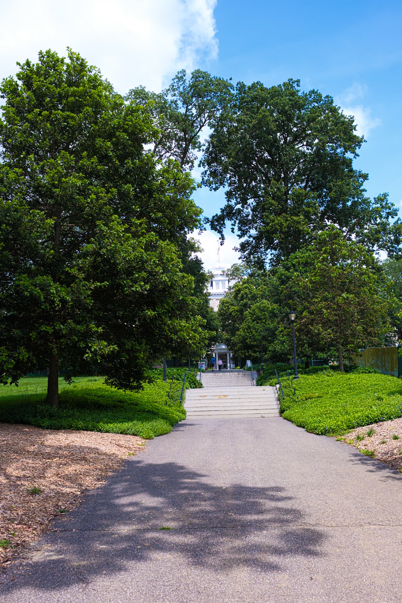 Walk to Parrish Hall With Trees July 2025