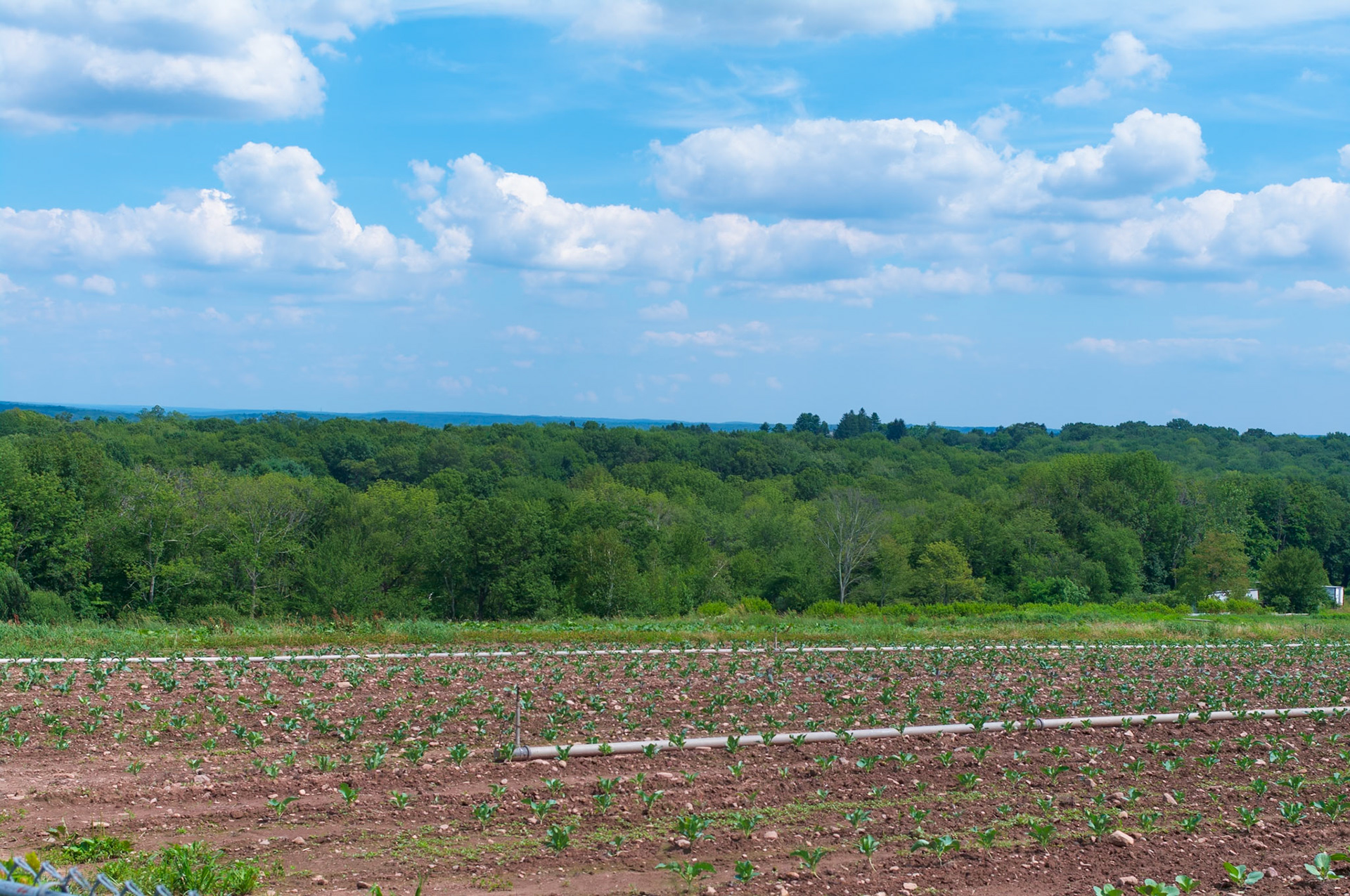 SE View from Pesce Farm