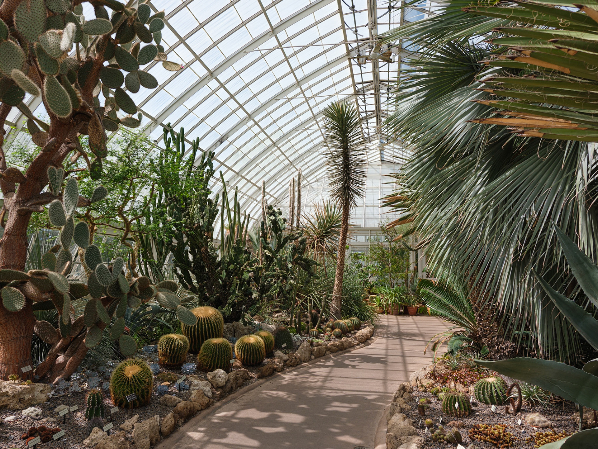 Start of Walk Through Desert House of the Conservatory