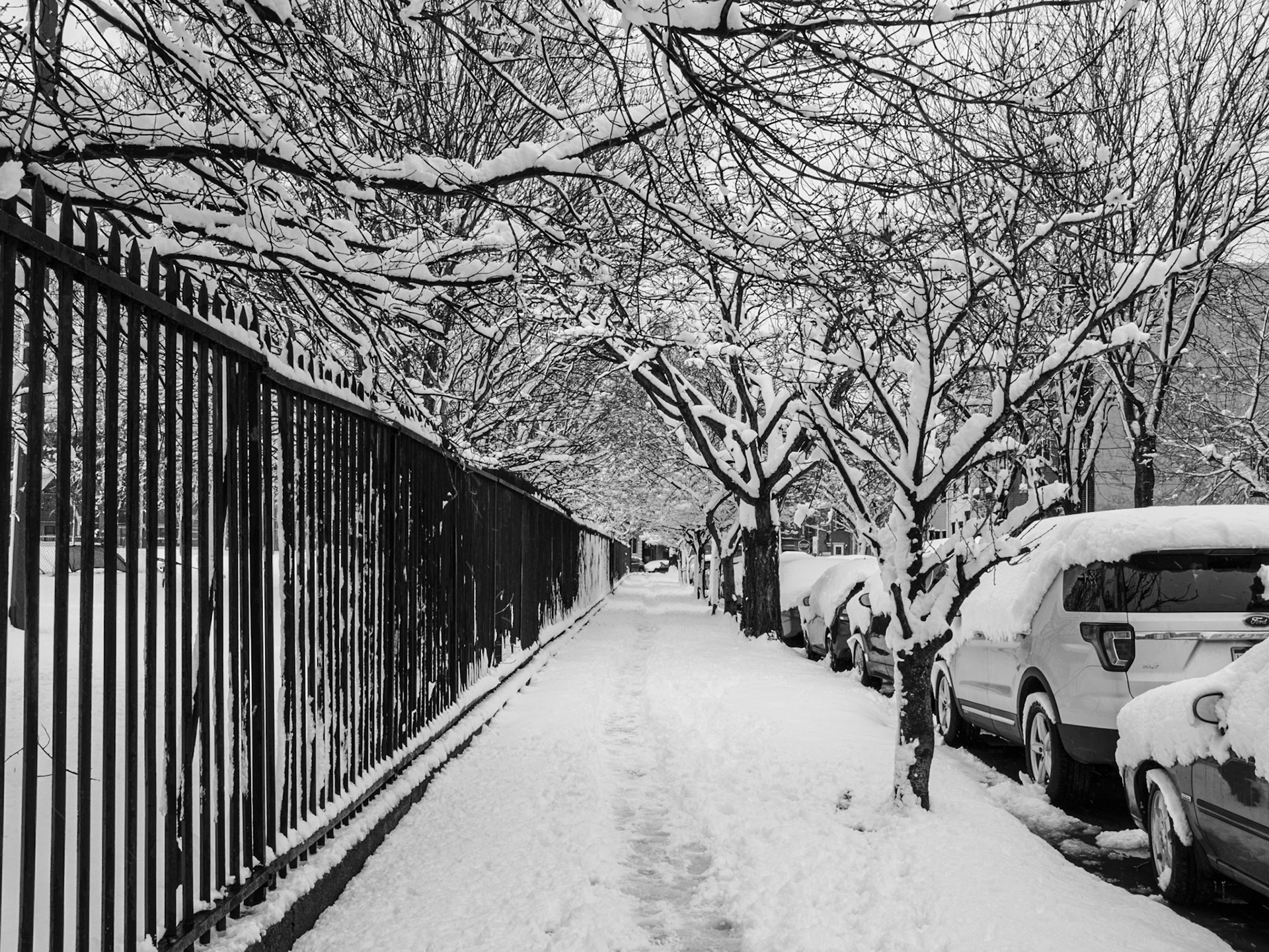 Walk Along Wyllie Side of Francisvill Park after Snowstorm