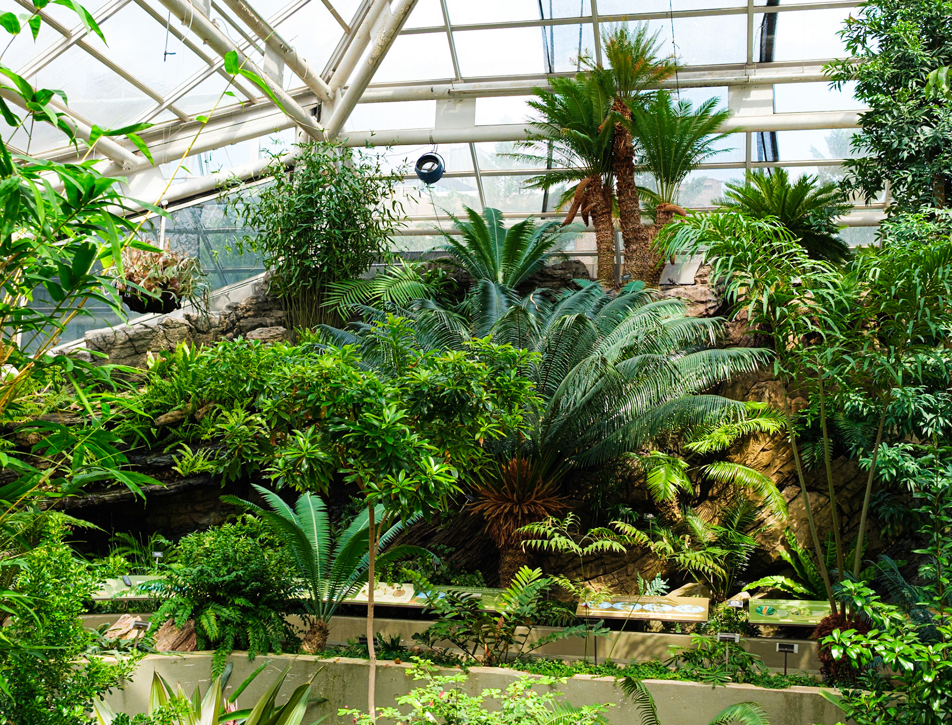 Palm Hall Brooklyn Botanic
