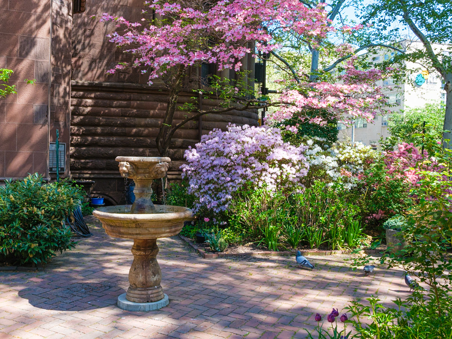 Fountain and Blossoms at St Clement in April