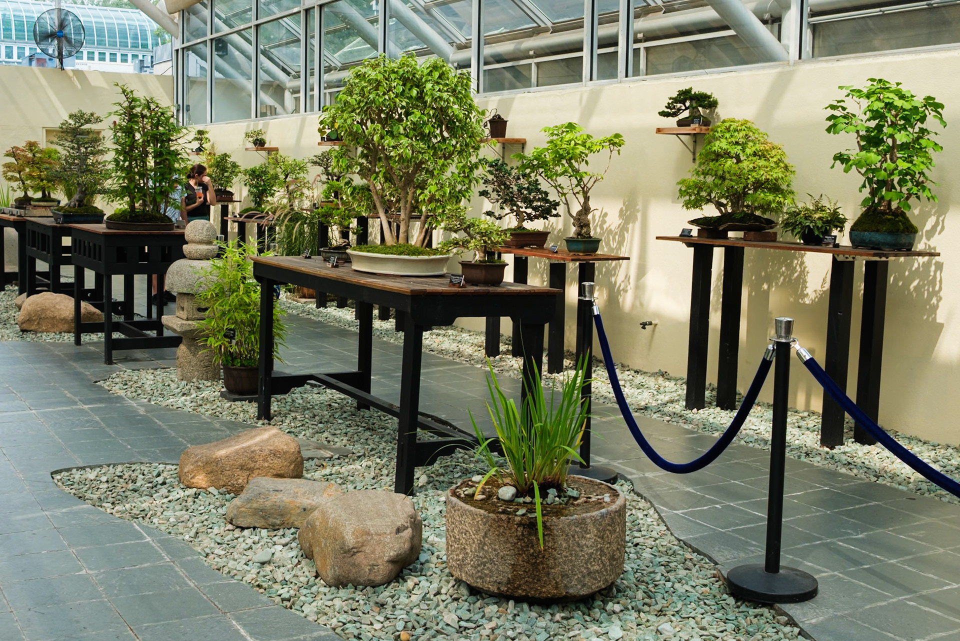 Bonsai Museum Hall Brooklyn Botanic