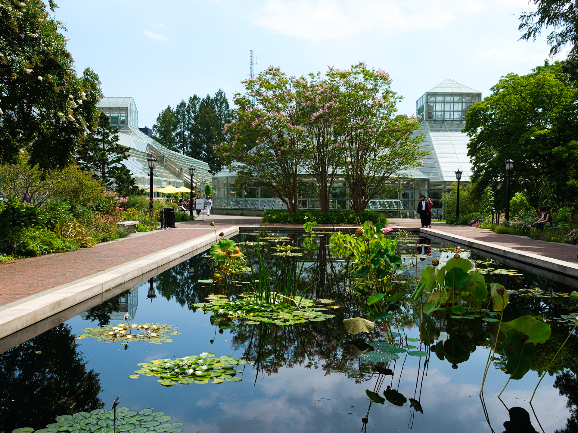 Approaching the Greenhouses at Brooklyn Botanic