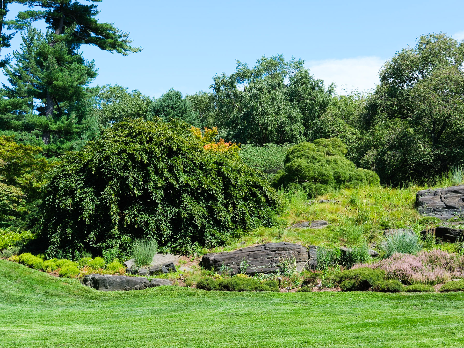 Nearing Rock Garden of the New York Botanical