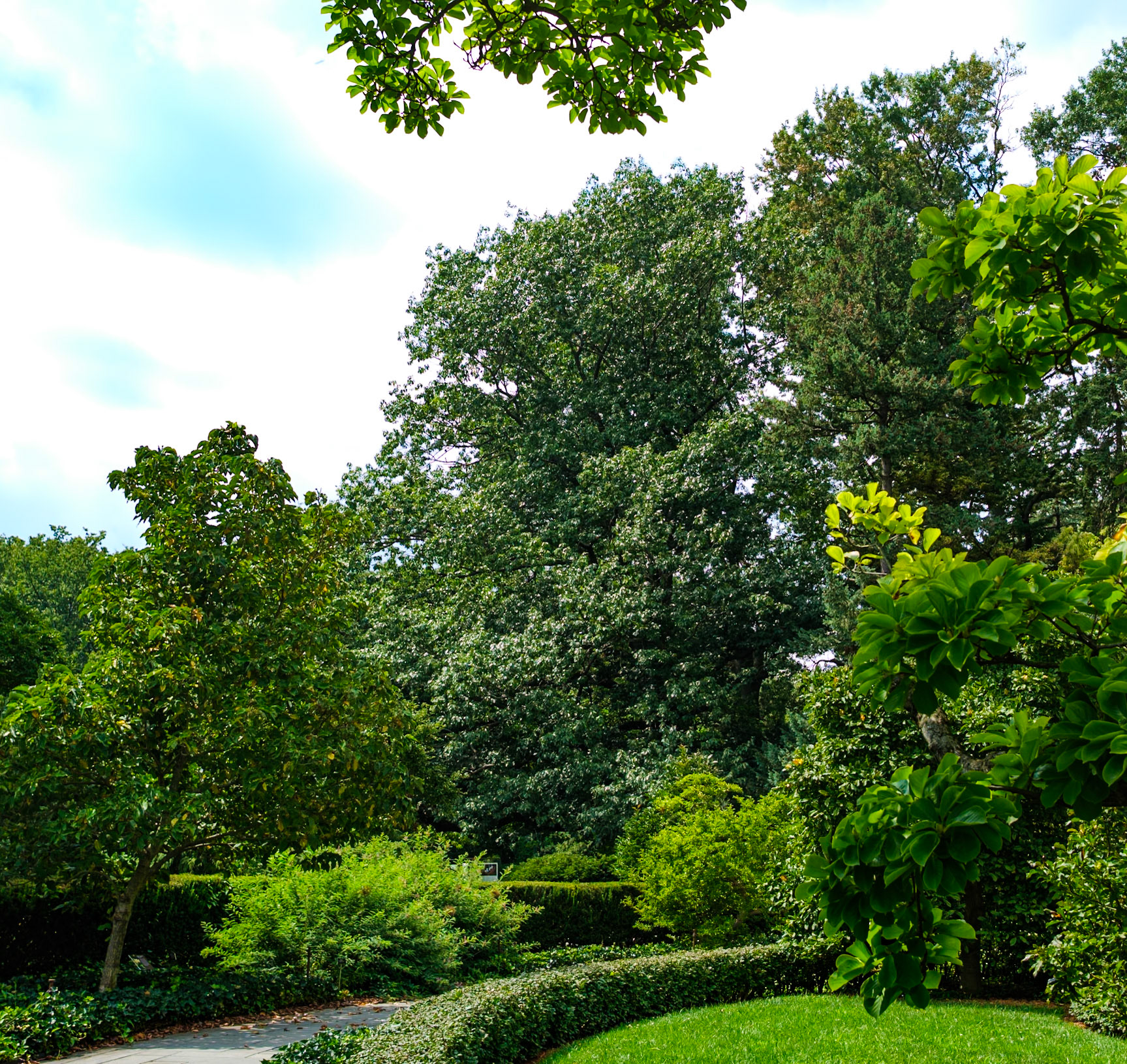 Along Magnolia Circle Brooklyn Botanic