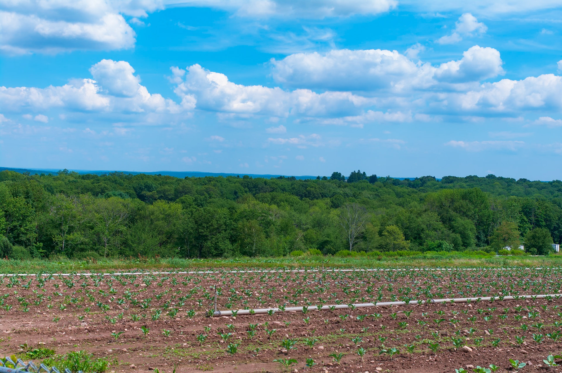 SE View from Pesce Farm