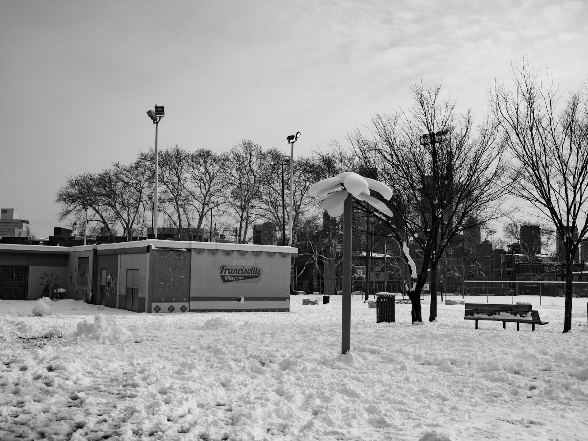 Fake Palm Tree at Francisville Park after Snowstorm