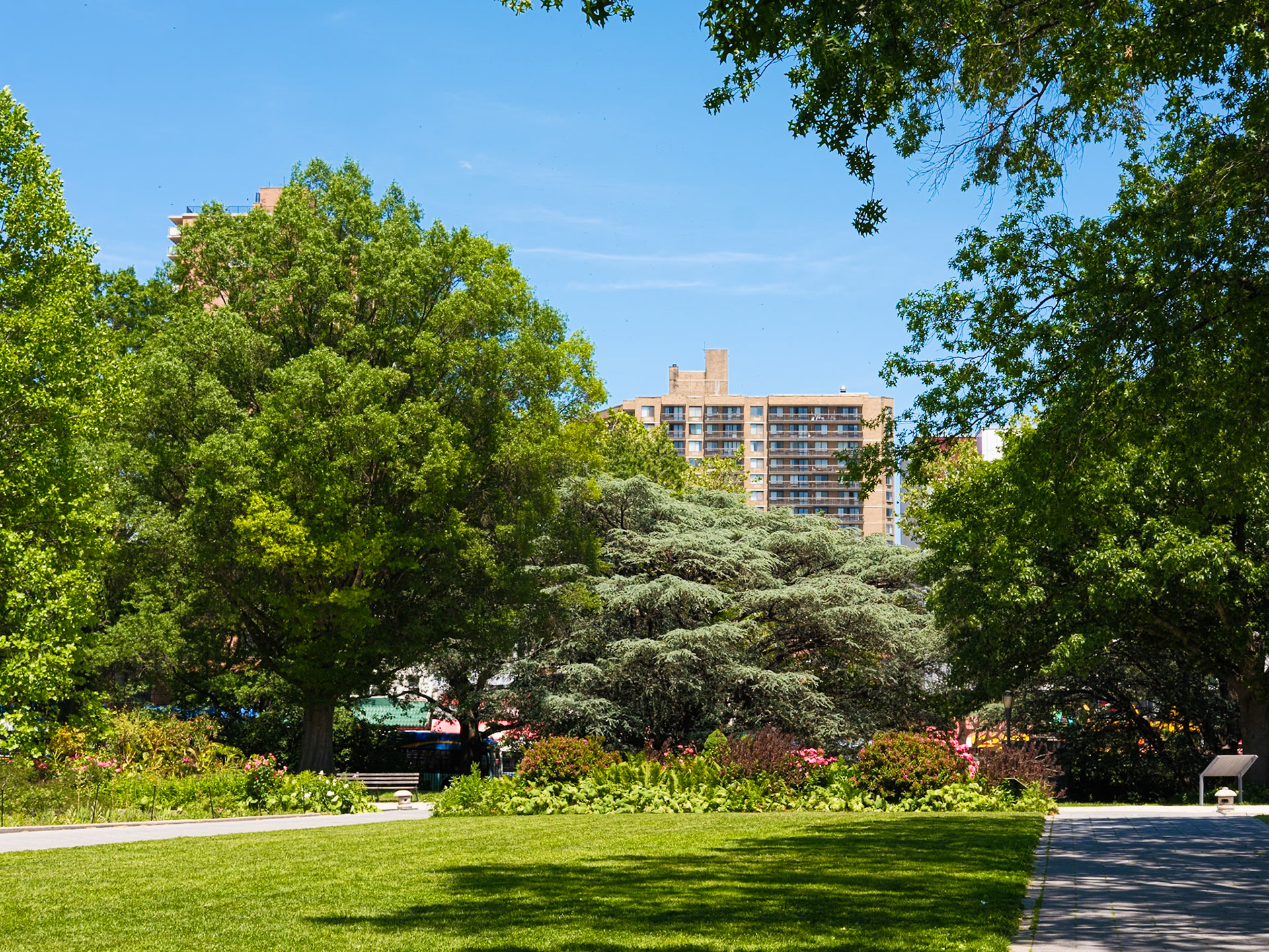 Entrance Path Trees Queens Botanical