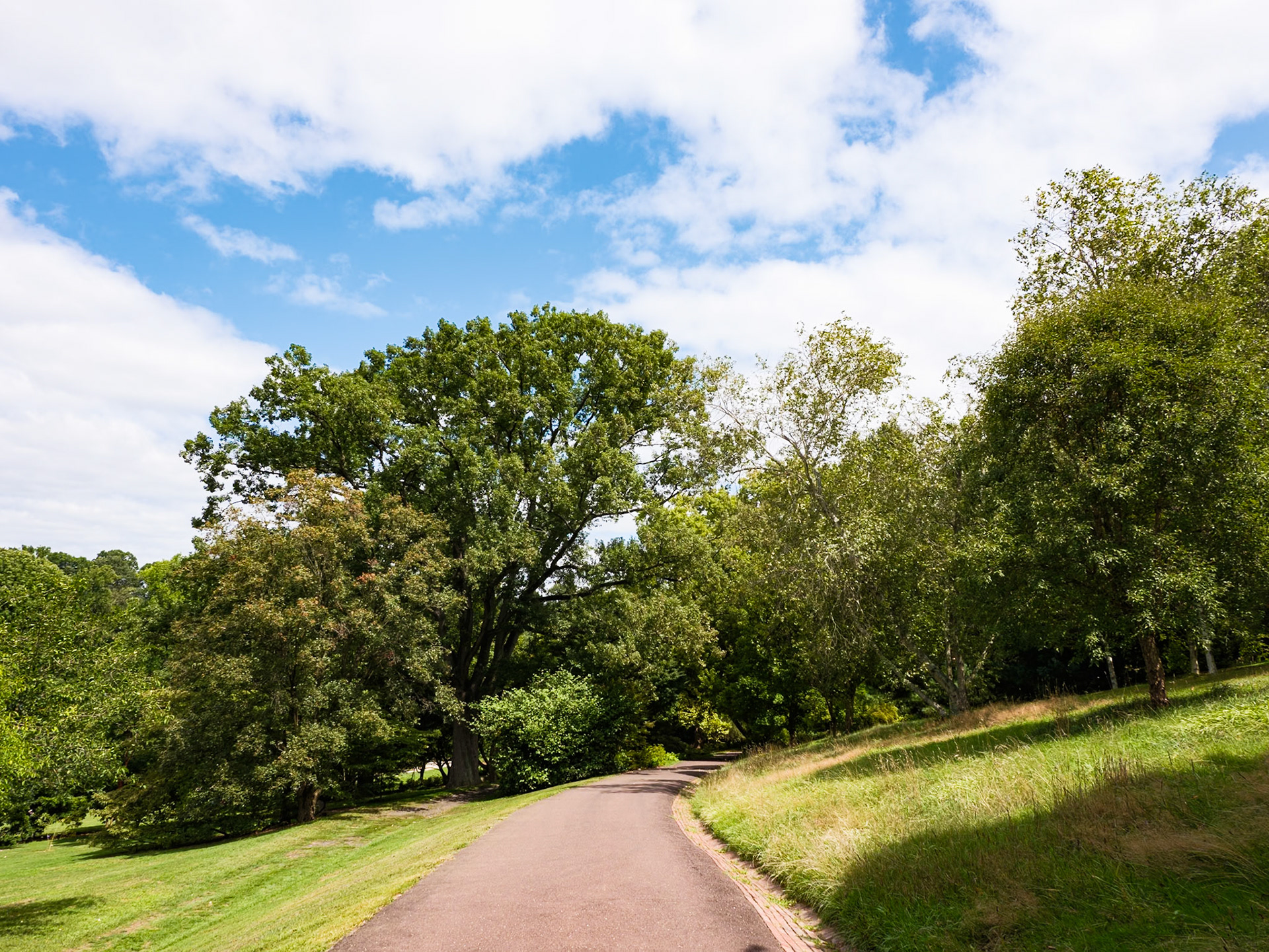 Hillside Walk Morris Arboretum August 2024