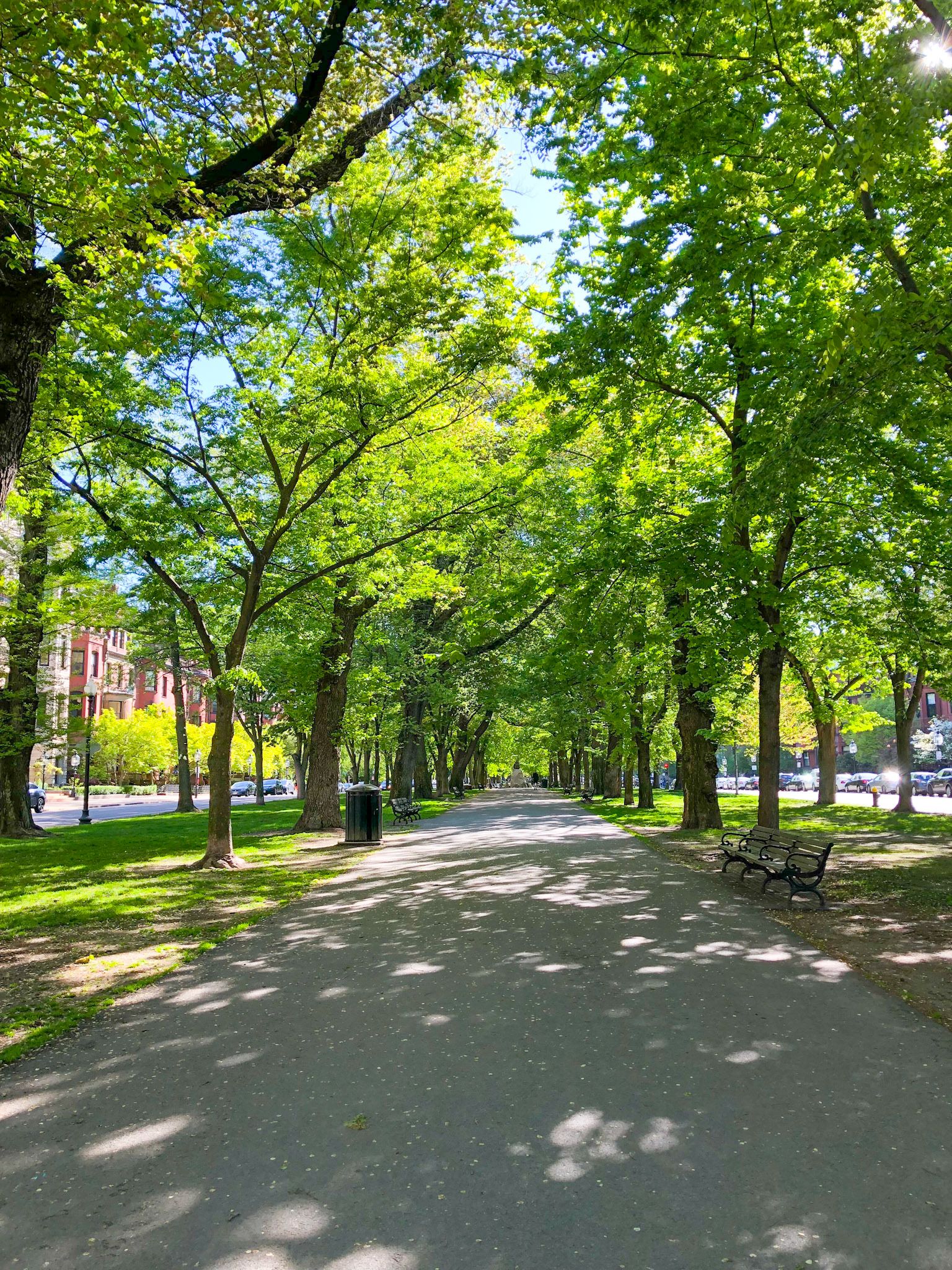 Commonwealth Avenue Promenade Boston