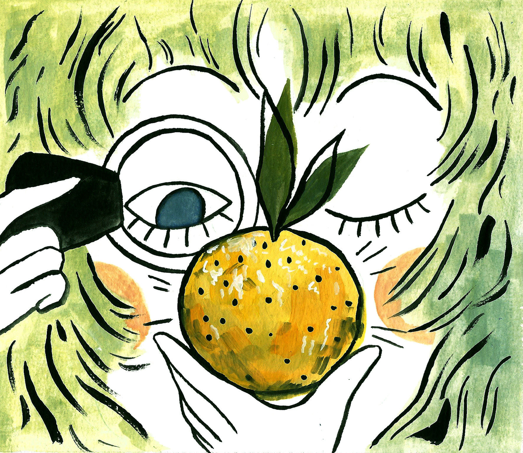 Illustration for 'Nothing Compares to Yuzu' by Helen Rosner for The New Yorker