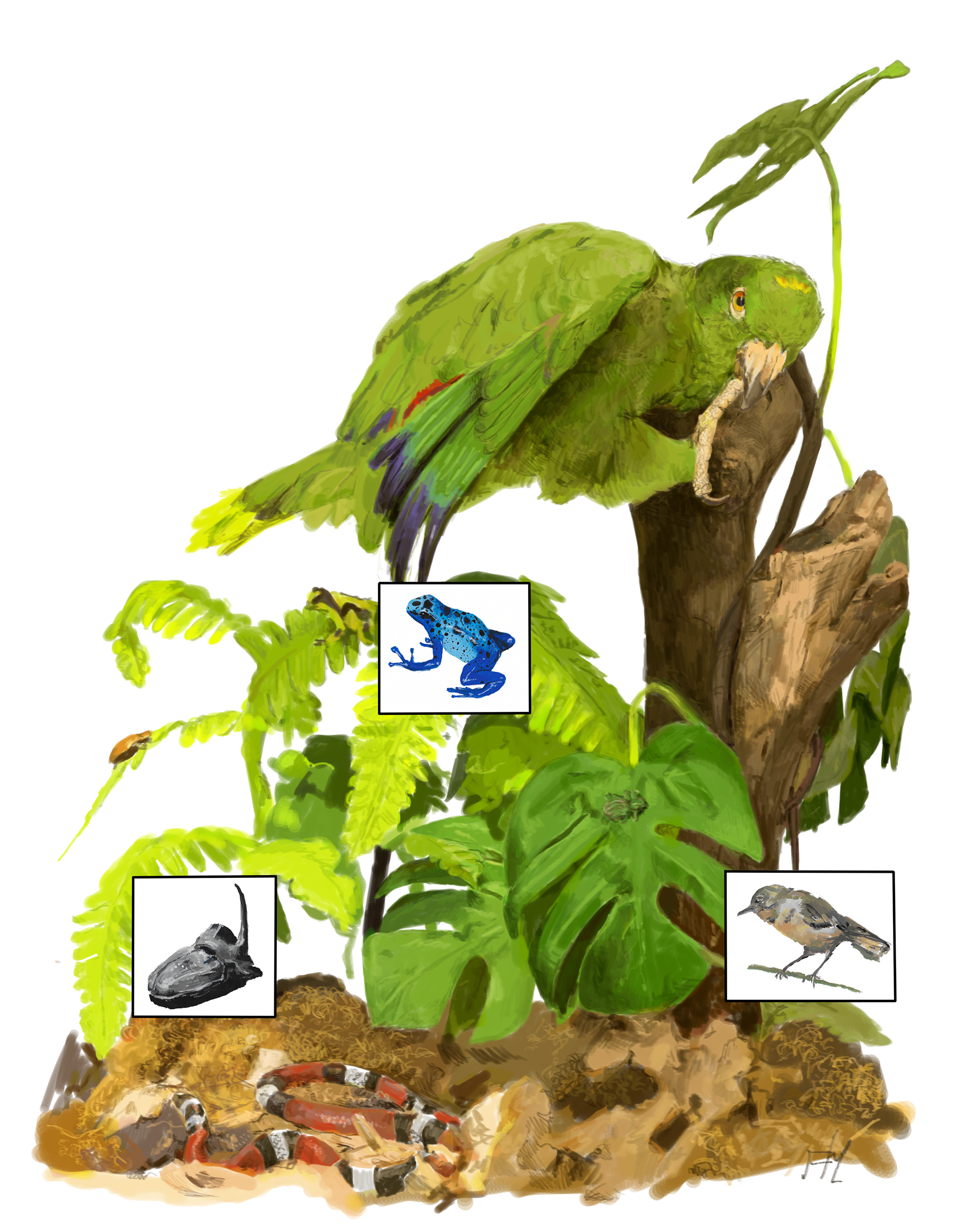 CMNH diorama, 2019, digital