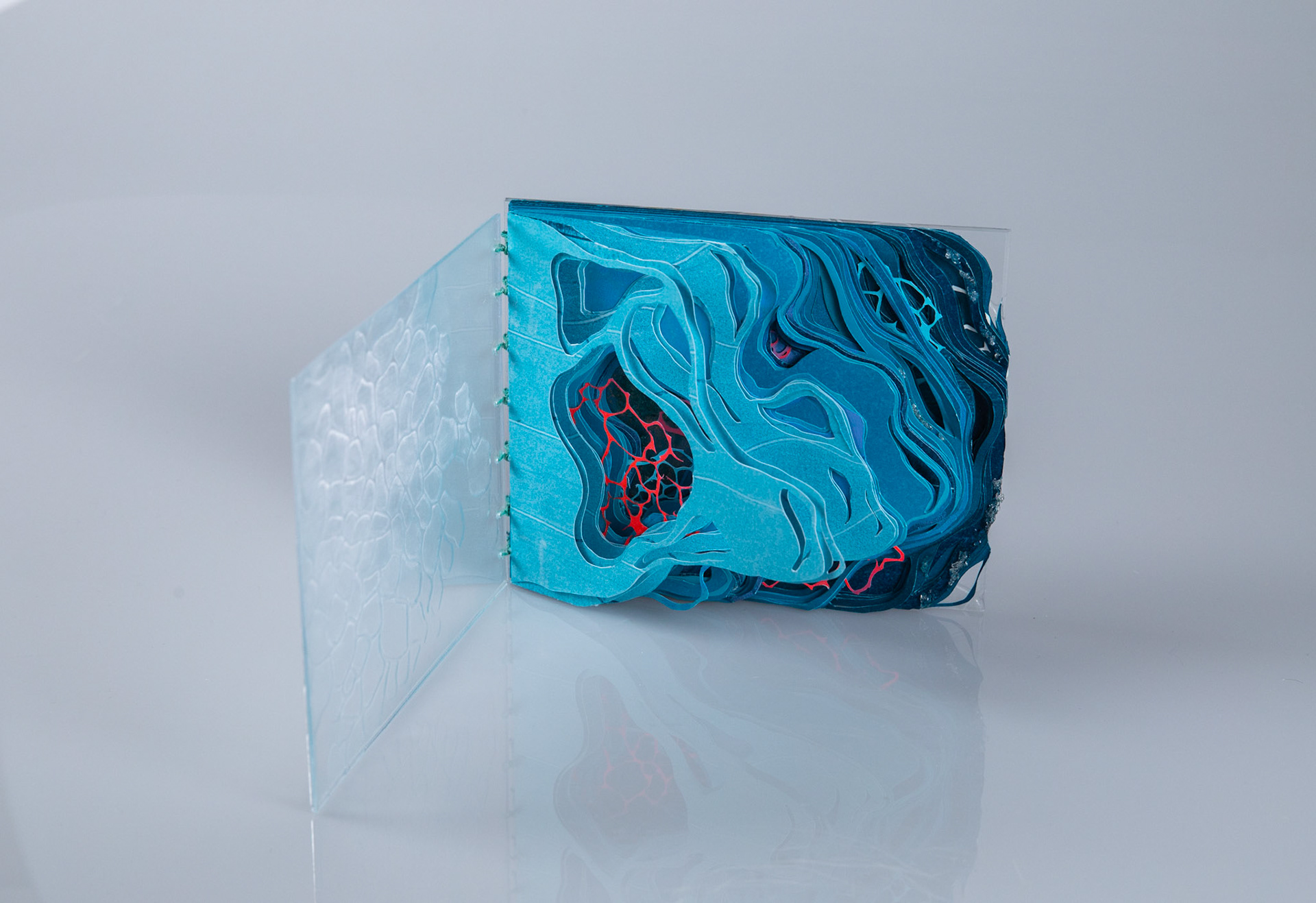 Tides of Change, paper, binders board, acrylic, dura-lar, 7 x 9 inches