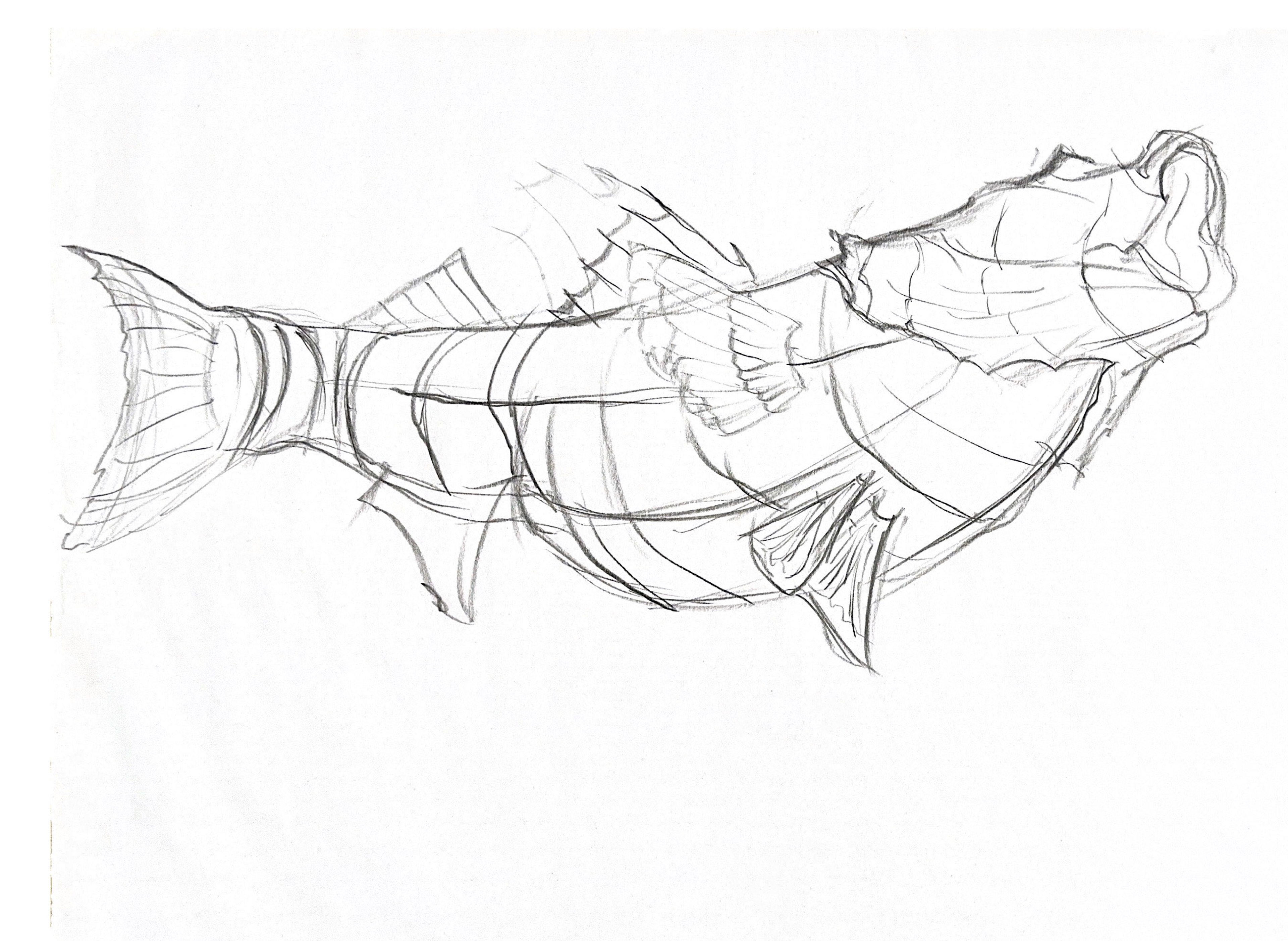 20 Minute Drawing, Conte on 90 lb drawing paper, 18x24"