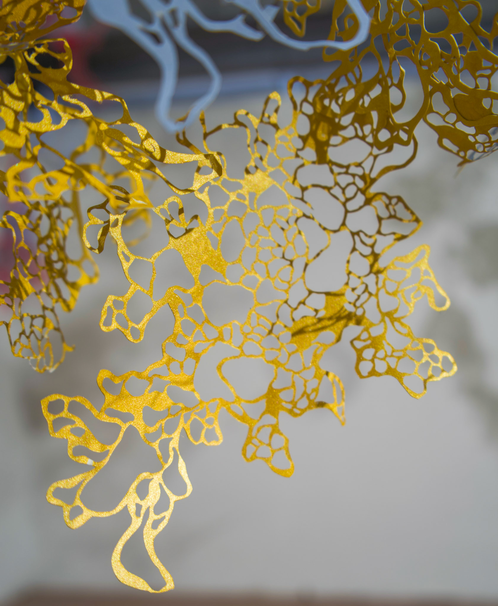 Shape Shifting Detail Shot, paper, acrylic, monofilament, dimensions variable