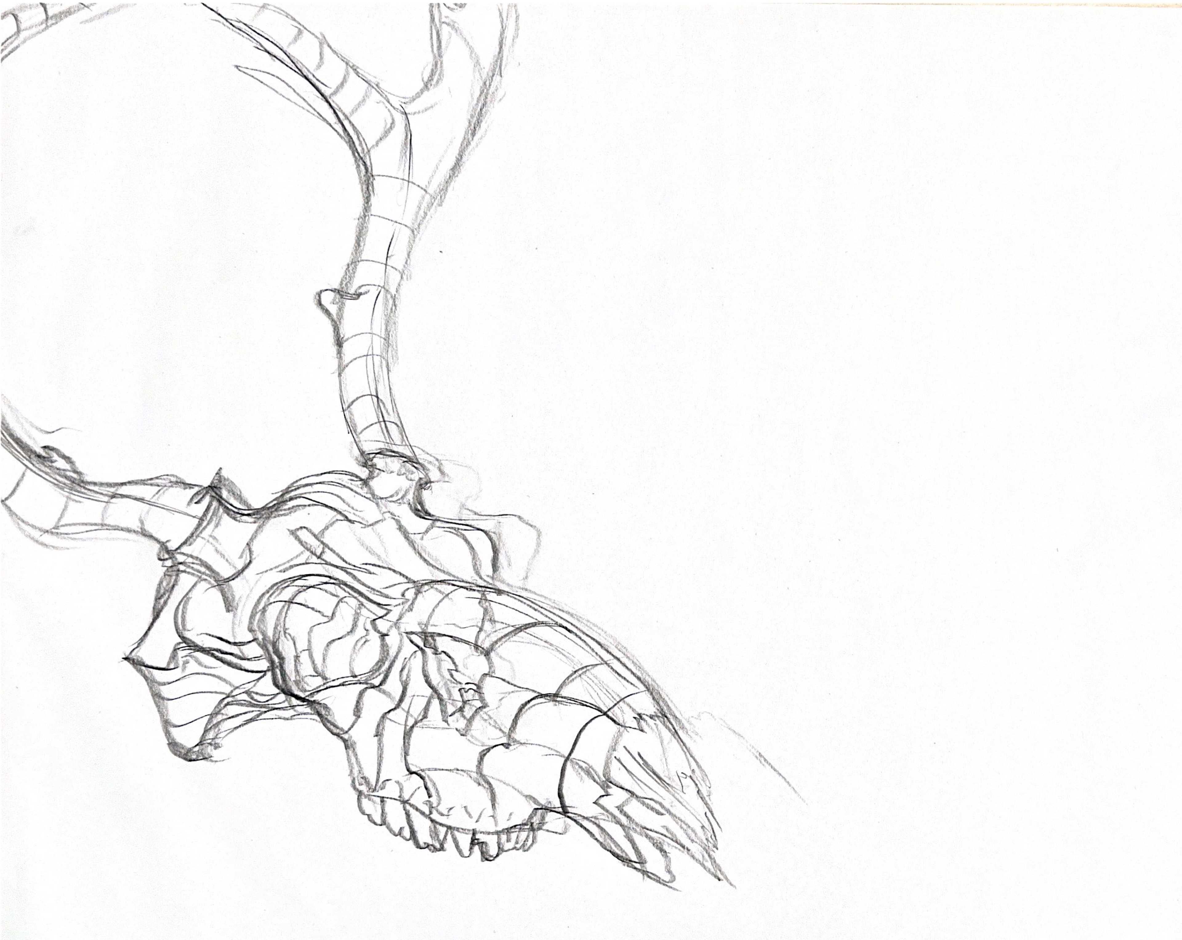 20 Minute Drawing, Conte on 90 lb drawing paper, 18x24"