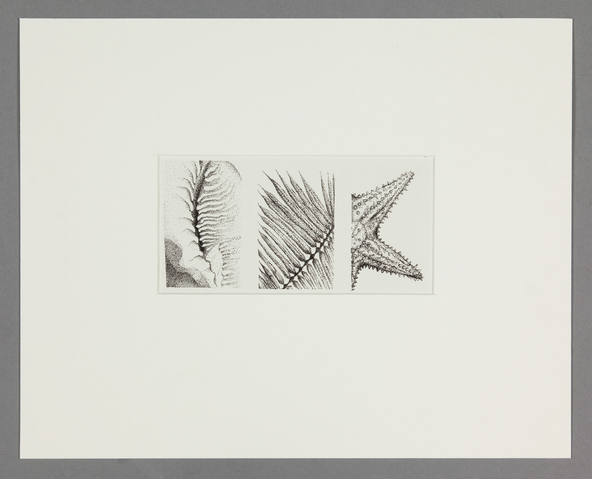 Surf and Turf: San Salvador