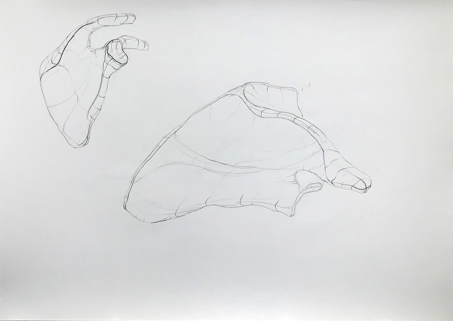 Scapulae