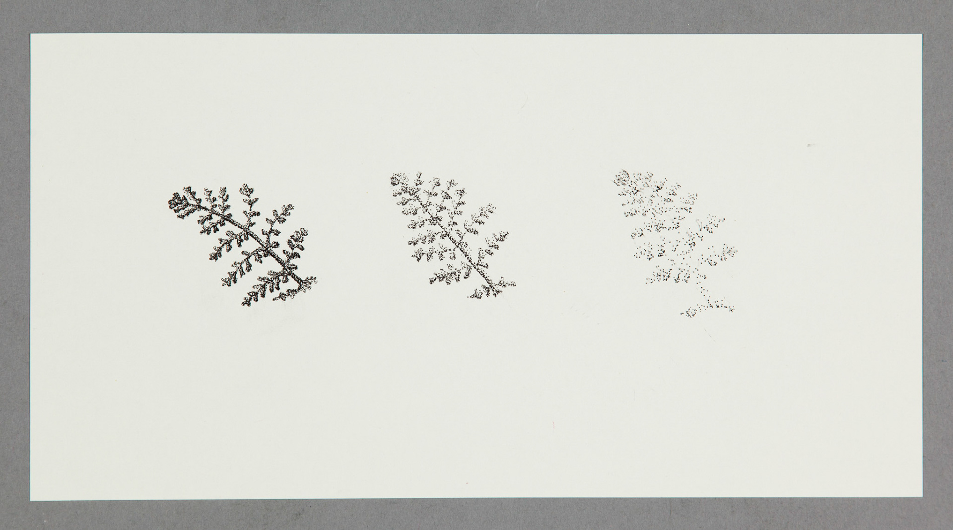 Life Size Decay: San Salvador