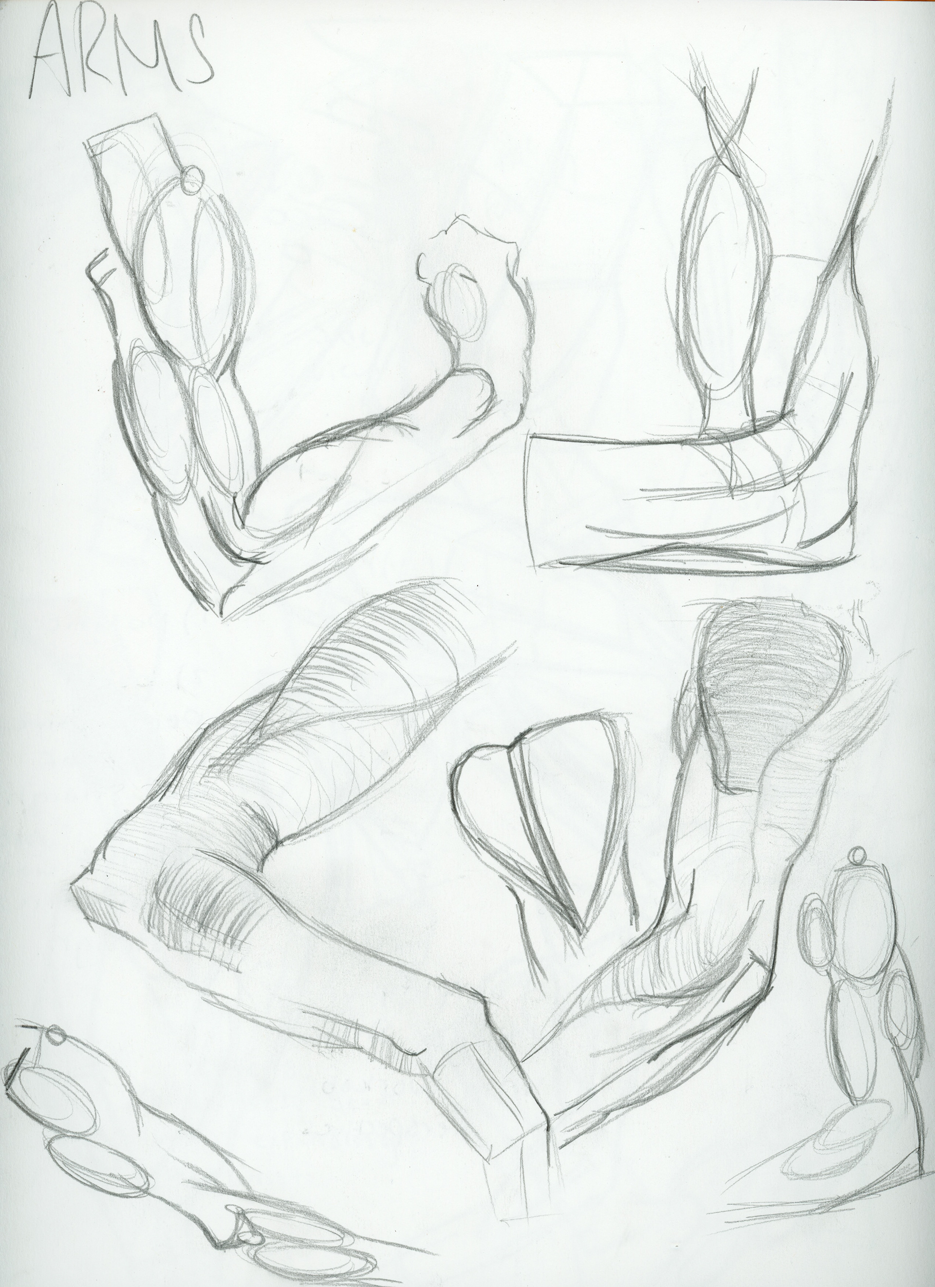 Delaney Shin - Anatomy Drawings Spring