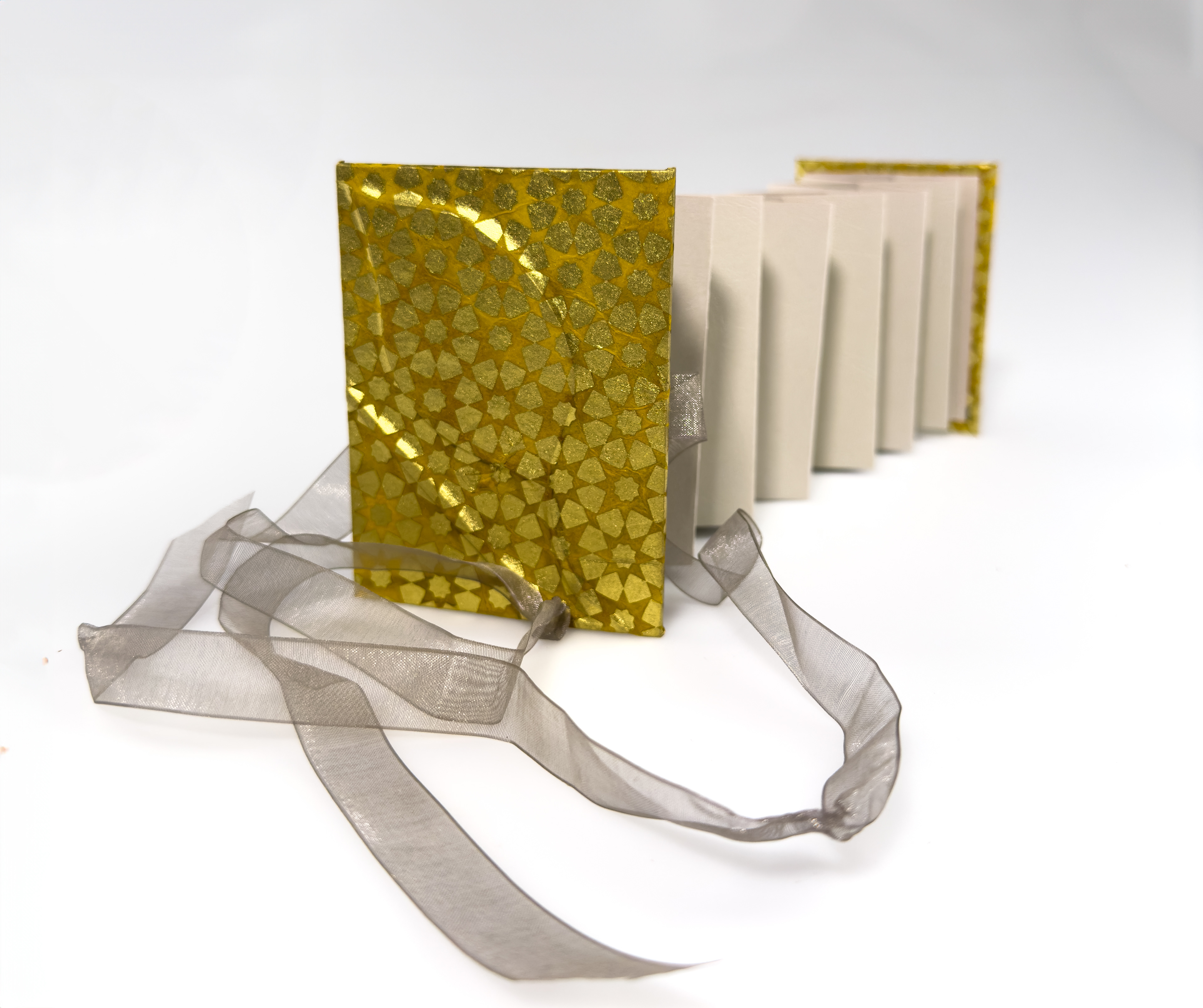 Slotted Accordion Book 