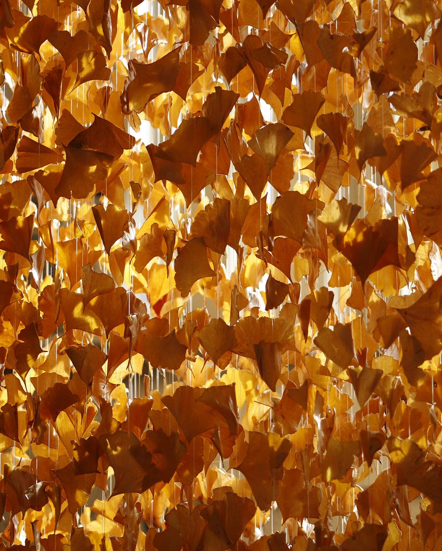 Beautiful Decay: Raining With Gold