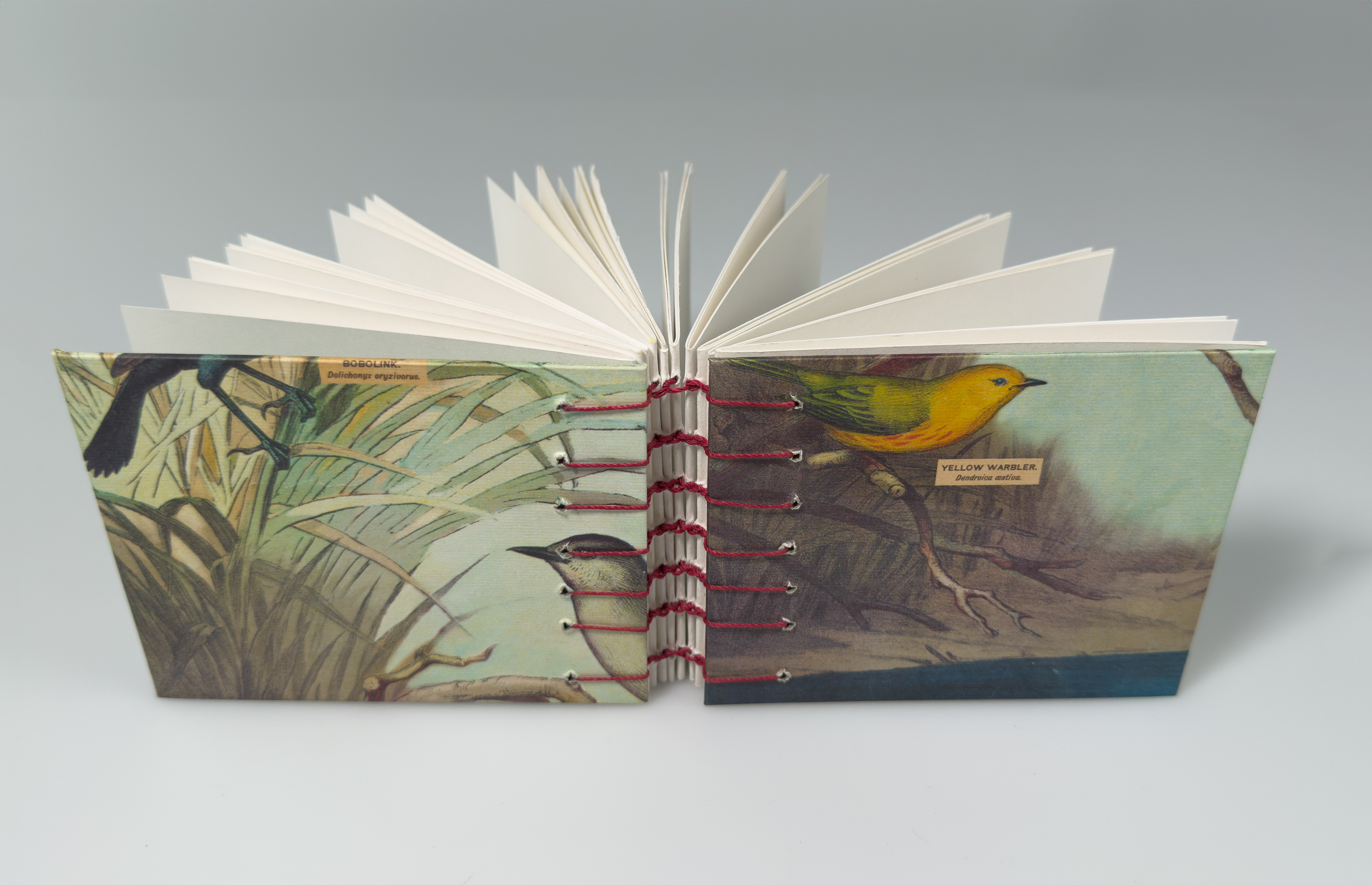 Coptic Stitch Book