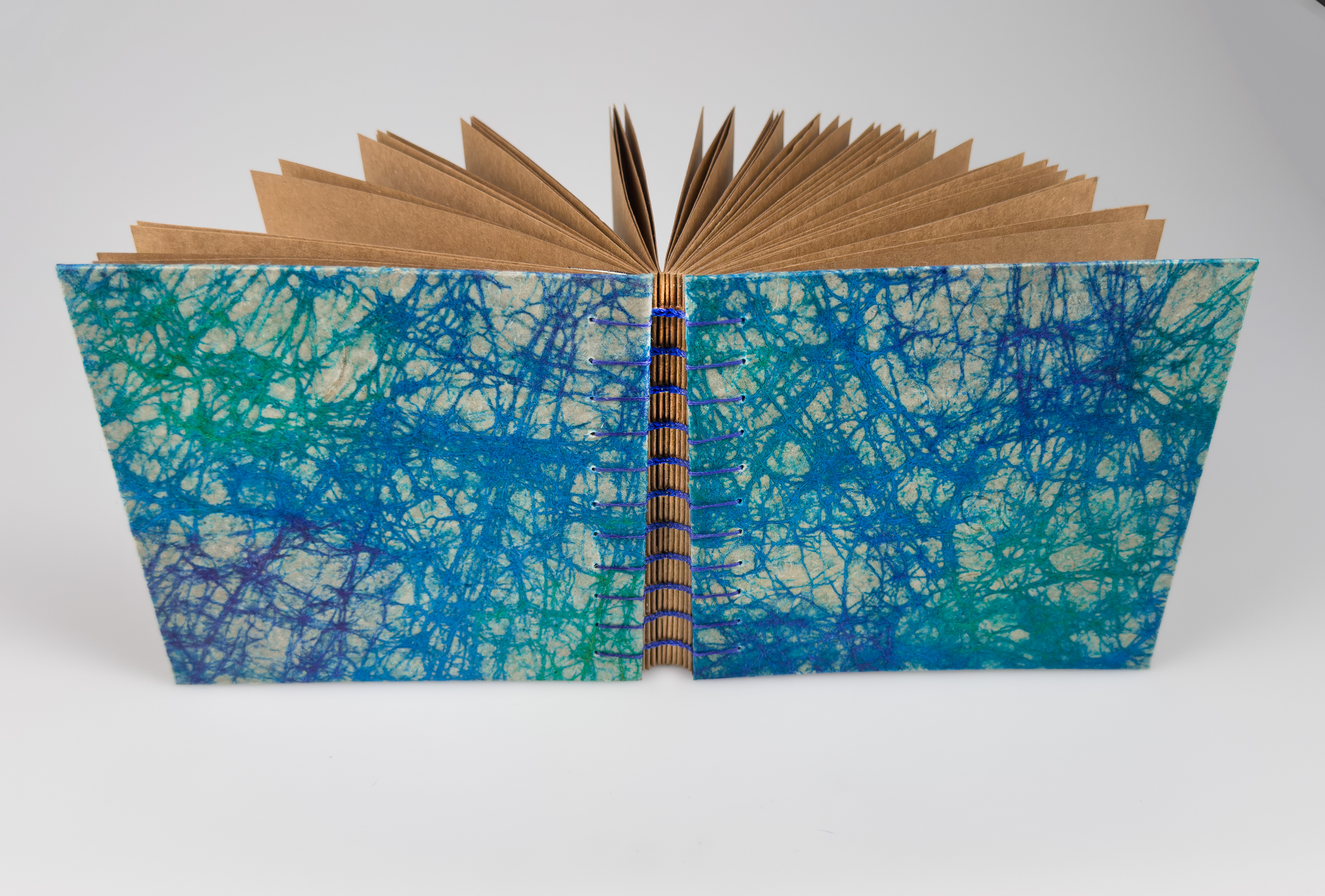 Coptic Stitch Book