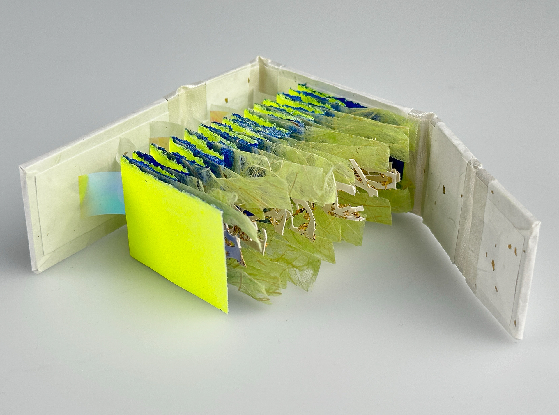 Tide’s Embrace, hand-cut paper, binders board, book cloth, lace paper, cellophane 14.5 inches x 2.75 inches x 1.5 inches (opened), 2024