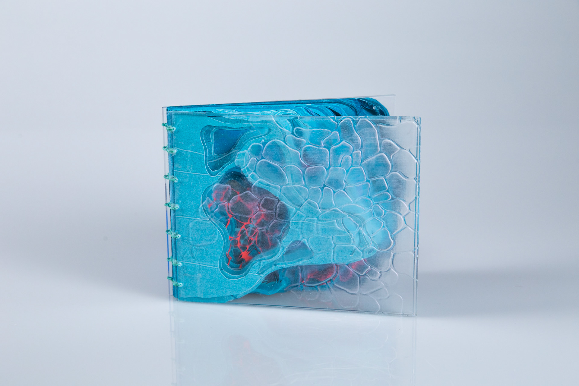 Tides of Change, paper, binders board, acrylic, dura-lar, 7 x 9 inches