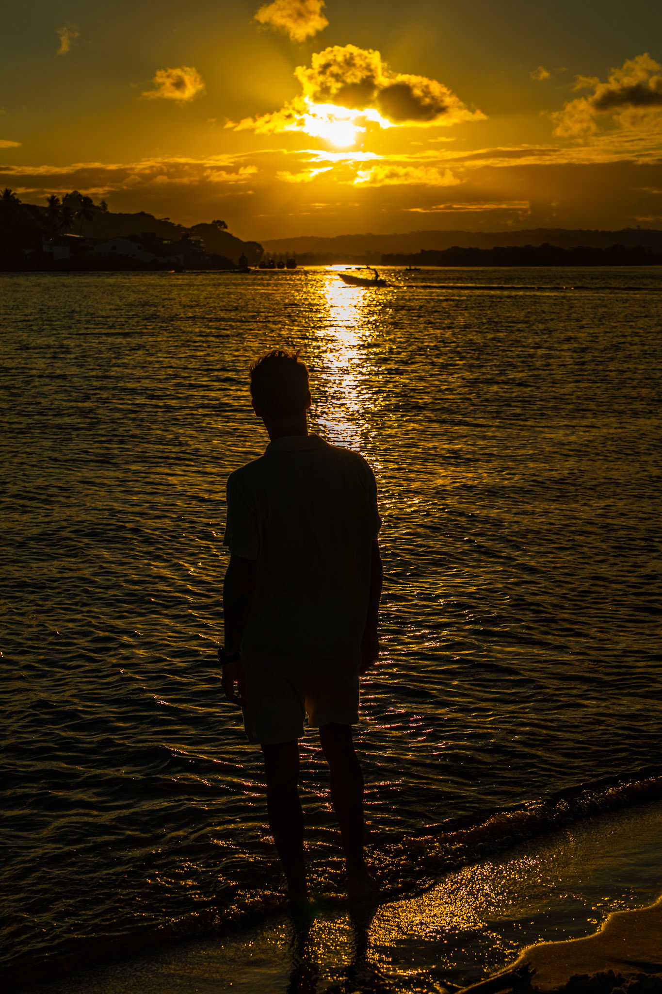 Drawn to the Light