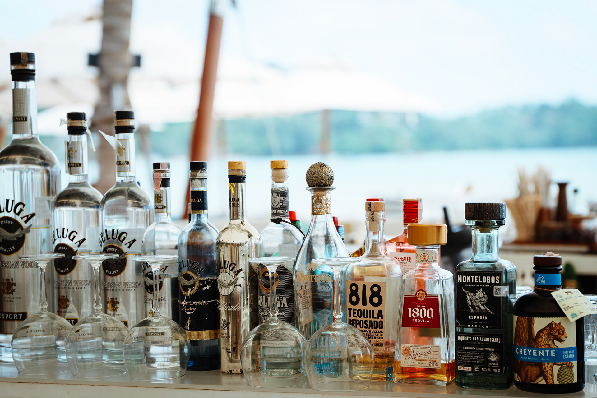 Curated Spirits for Every Occasion