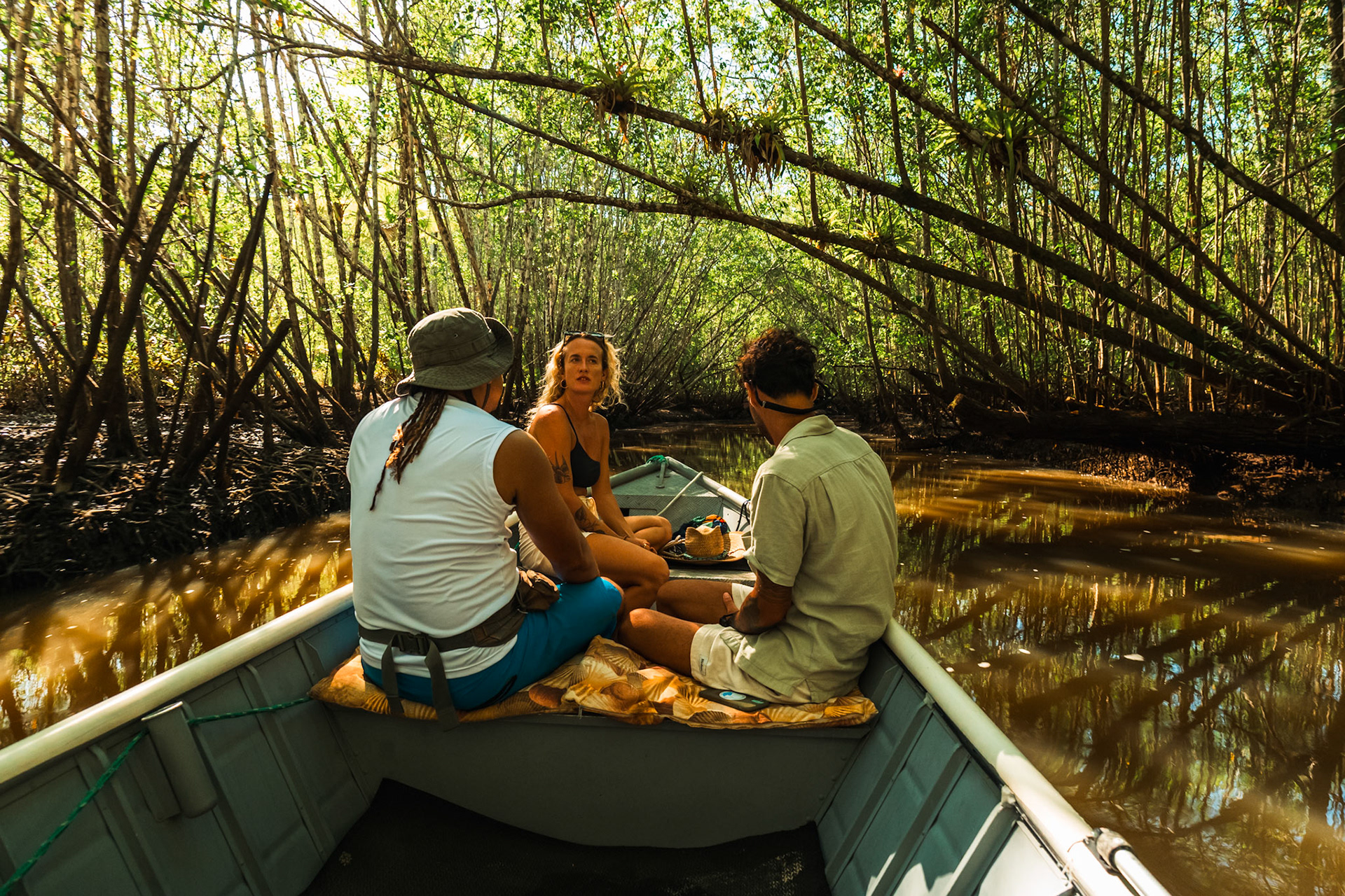 Into the Mangroves