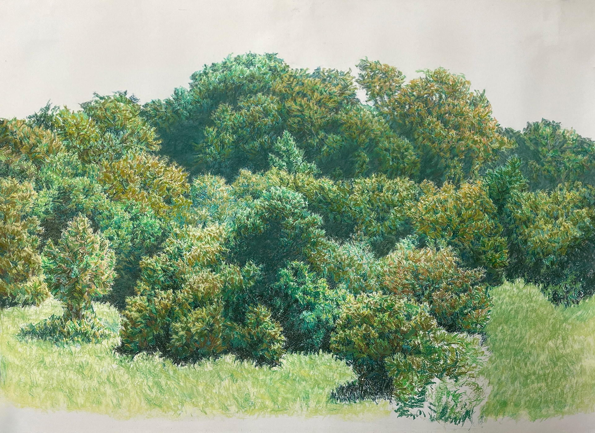 Pastell auf Papier 2016, 110 x 80 cm