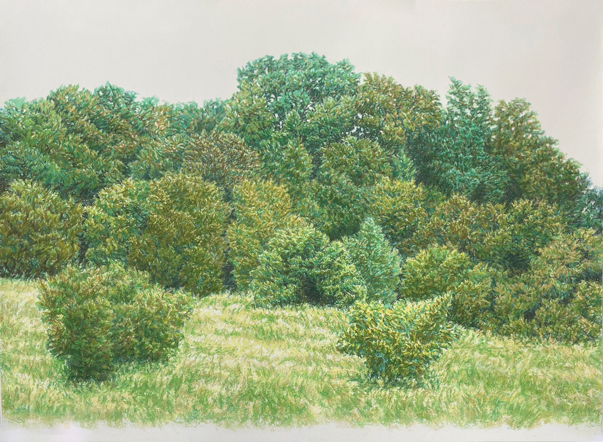 Pastell auf Papier 2017, 110 x 80 cm