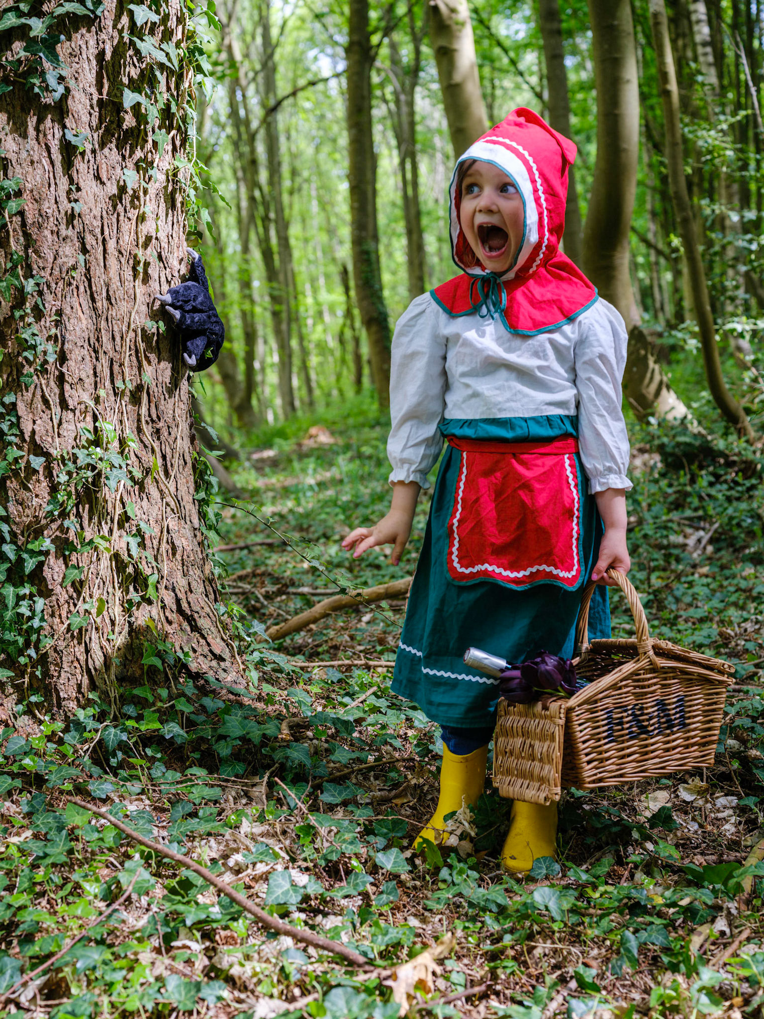 "Scared Little Red Riding Hood" on the Theme "Who's scared of the big bad wolf?"