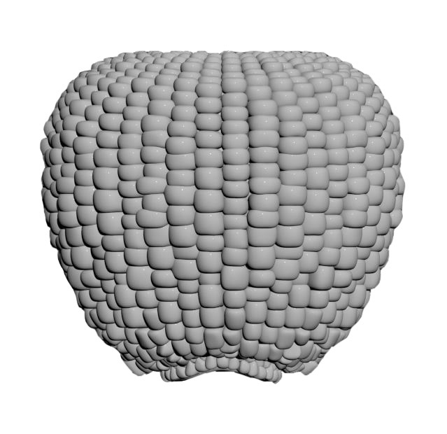 MODÉLISATION 3D