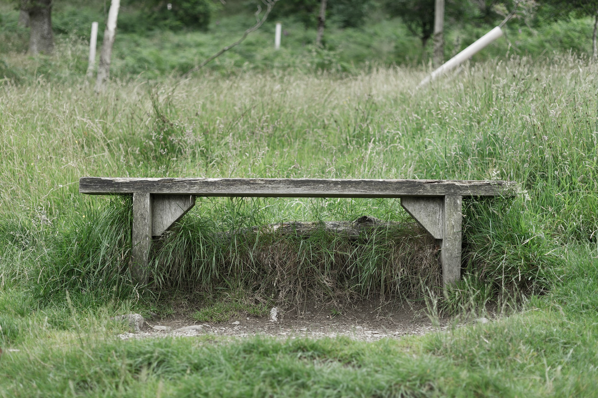 The Seat of Stillness