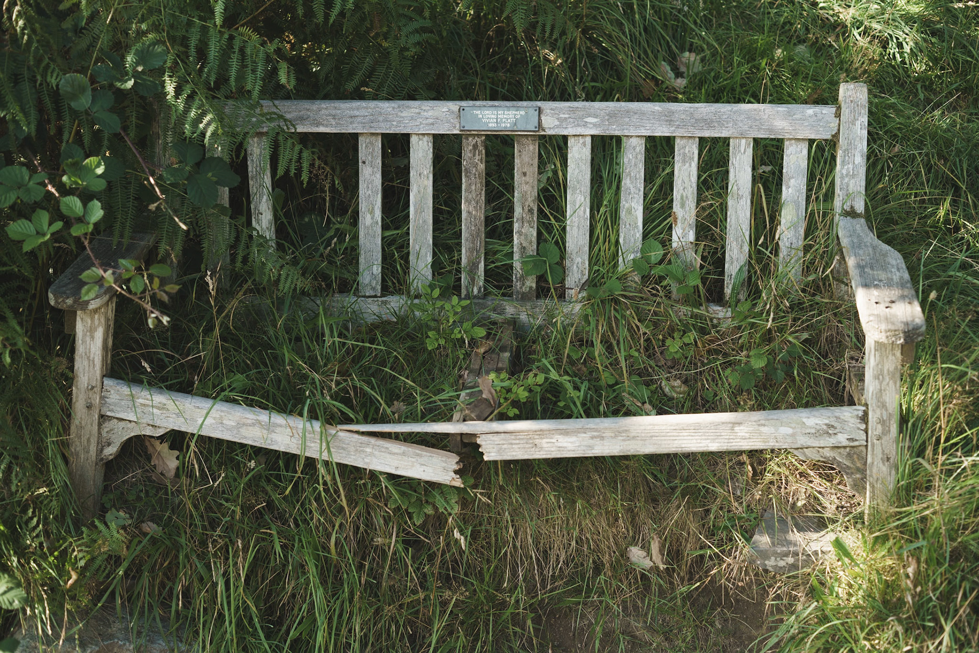 The Seat of Stillness