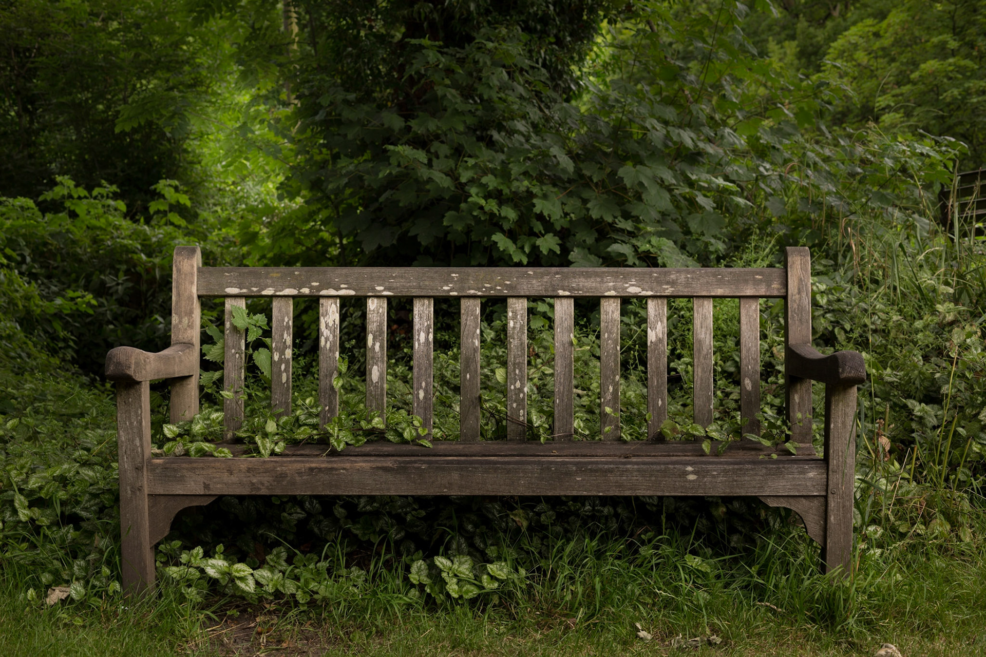 The Seat of Stillness