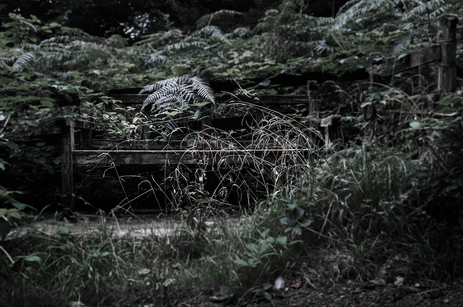 The Seat of Stillness