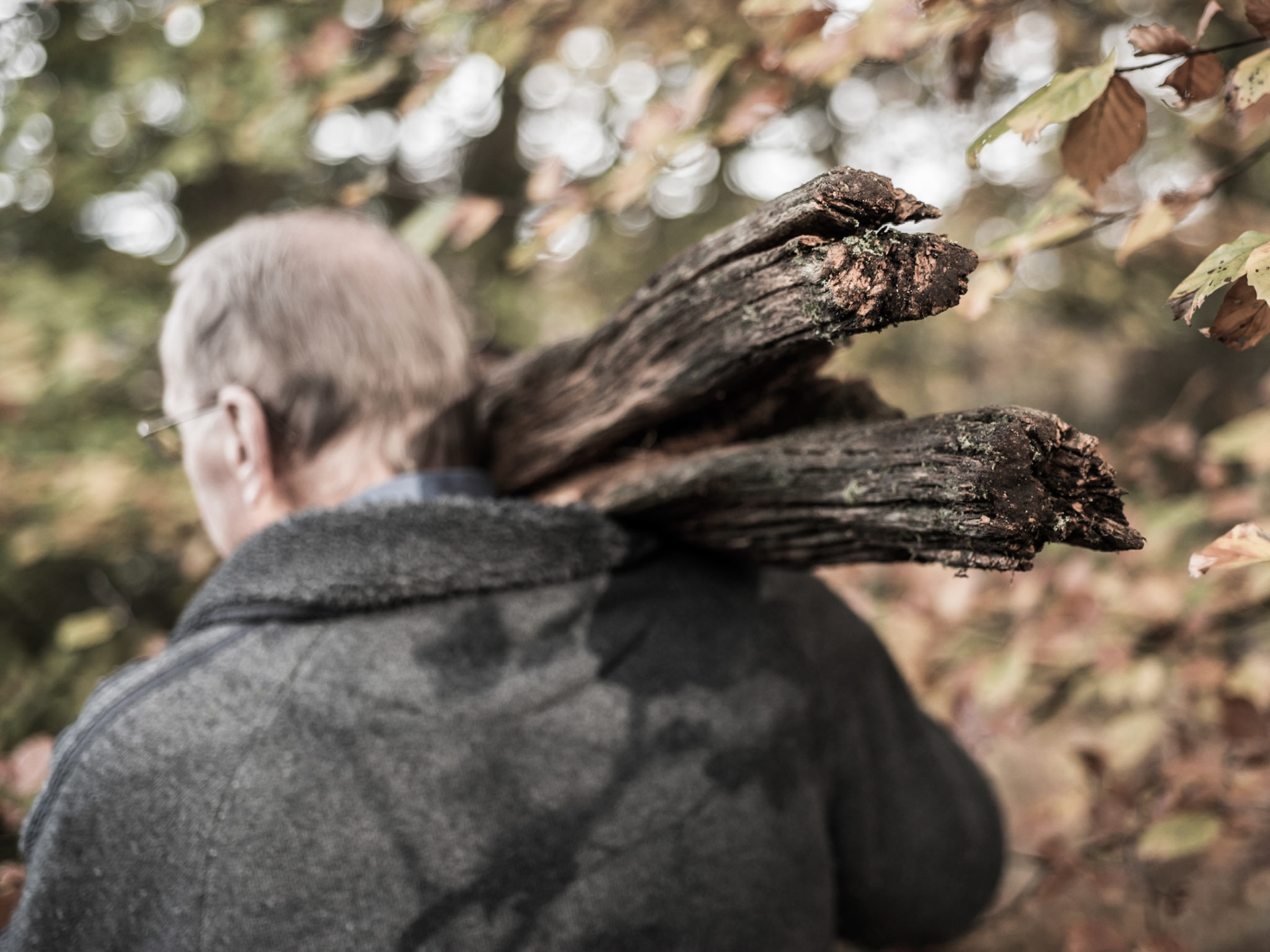 Wood carver
